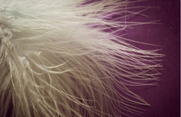 저온 열풍건조 방식